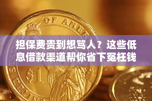 济南担保费贵到想骂人？这些低息借款渠道帮你省下冤枉钱