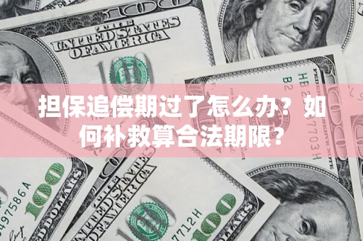 济南担保追偿期过了怎么办？如何补救算合法期限？