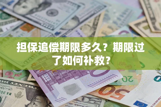 济南担保追偿期限多久？期限过了如何补救？