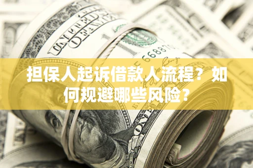 济南担保人起诉借款人流程？如何规避哪些风险？