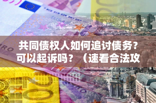 济南共同债权人如何追讨债务？可以起诉吗？（速看合法攻略）