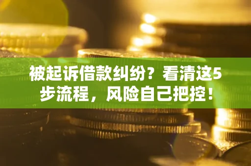 济南被起诉借款纠纷？看清这5步流程，风险自己把控！